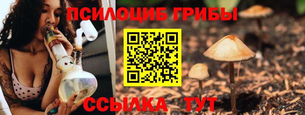 Псилоцибиновые грибы мухоморы Кумертау